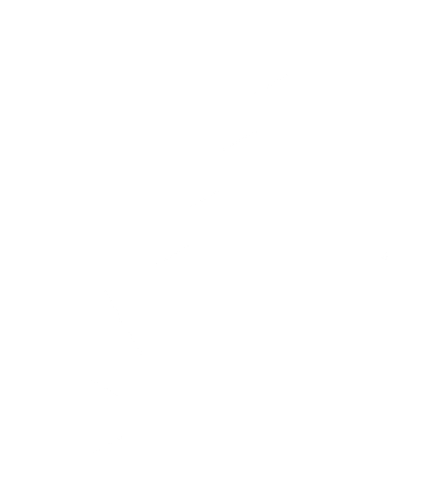 Chlorure De Benzalkonium