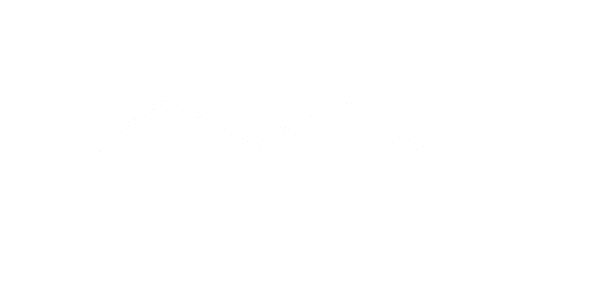 Netbrite Pap