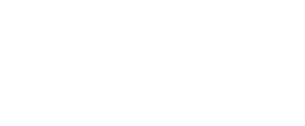 Polidimetilsiloxano