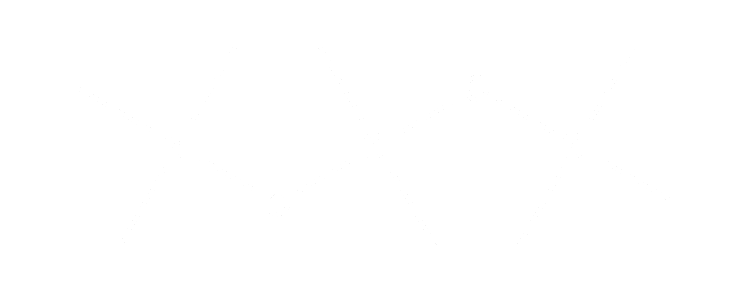 Polydimethylsiloxane