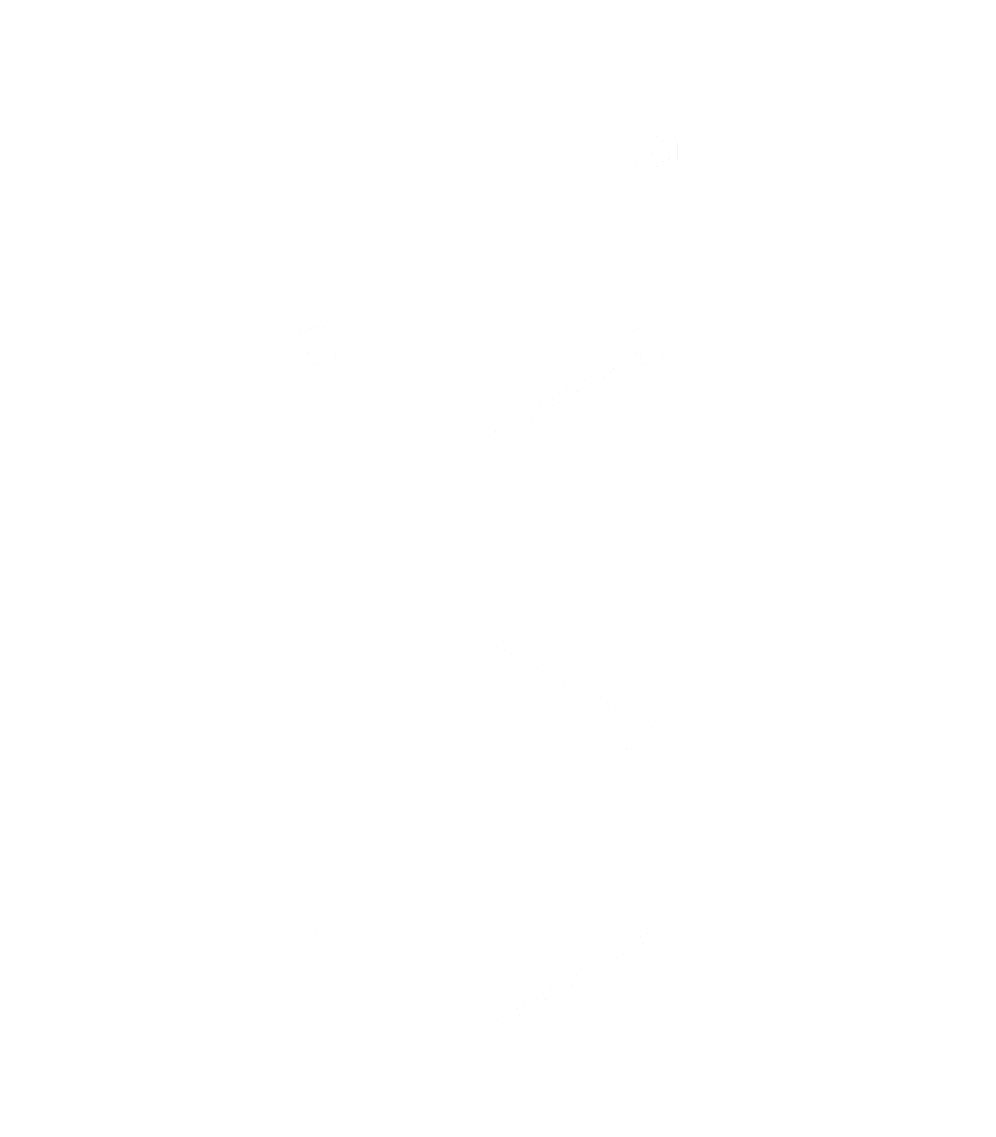 Benzoate De Sodium